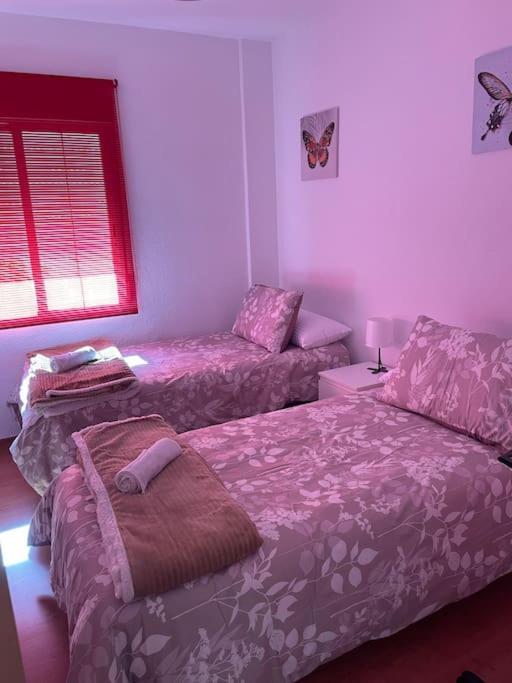 Apartamento El Pocito 科爾多瓦 外观 照片