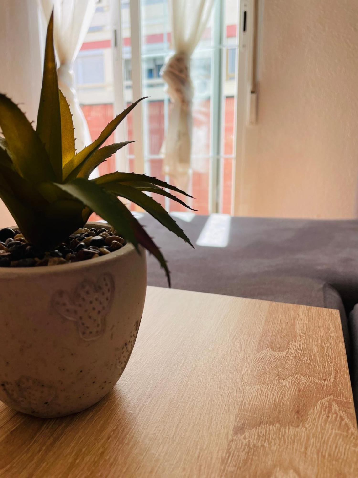 Apartamento El Pocito 科爾多瓦 外观 照片